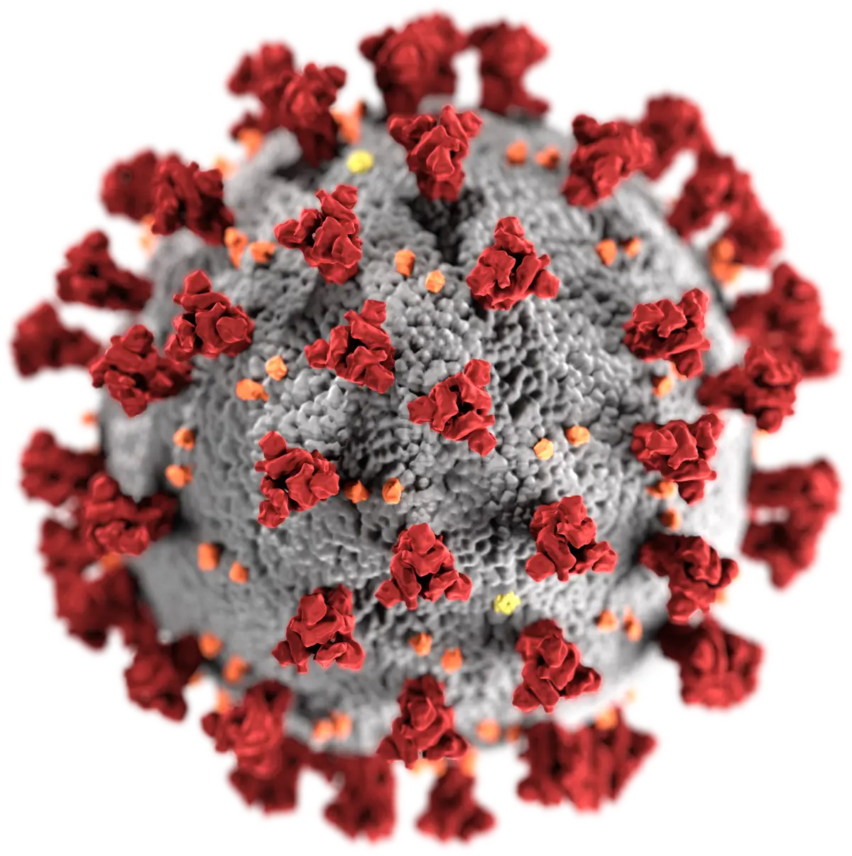 Virus image